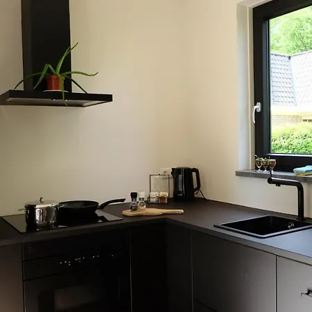 The Black Oak - Luxe Bungalow Met Prive Sauna Voorthuizen Exterior photo